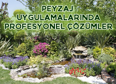Banner peyzzaj
